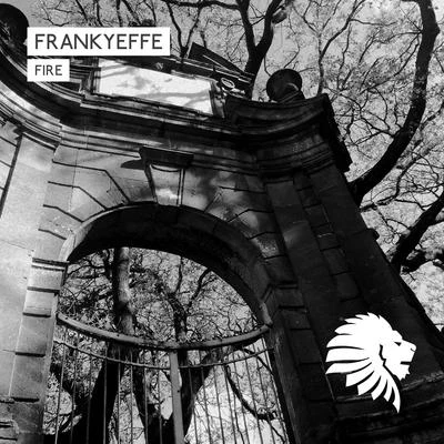 Fire 专辑 Frankyeffe