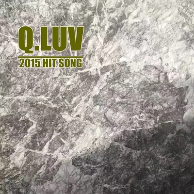 2015 HIT SONG 專輯 龍飛/Q.luv (Qluv)/$hadow