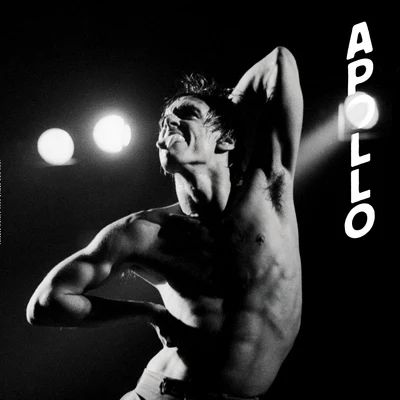 Iggy Pop Apollo