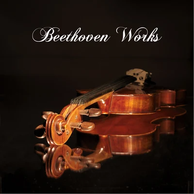 Beethoven Works - Ludwig Van Beethoven Songs, Romantic Music and Many Other Classical Music Composers Instrumental Music 专辑 Beethoven/Franz Schubert/Bach/Liszt/Franz Liszt