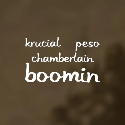 Boomin 專輯 Krucial/Ragga Twins/Dr.Meaker