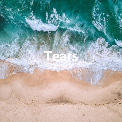 Tears 专辑 Hektor/Dan K