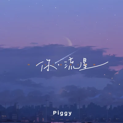 你·流星 专辑 Piggy