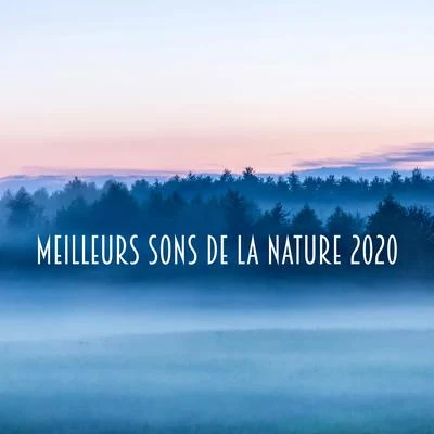 Meilleurs Sons de la Nature 2020 專輯 Oasis de Musique Zen Spa/Zone de Détente/Zone de la Musique Relaxante