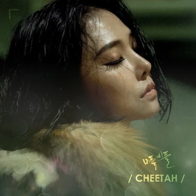 비틀비틀 專輯 cheetah