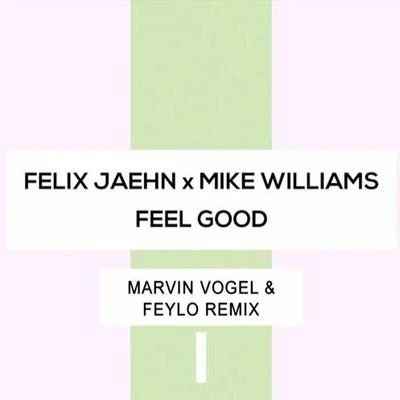 Feel Good (Marvin Vogel & Feylo Remix) 专辑 Marvin Vogel/Joshua Francois/Feb/Eko/Big Z