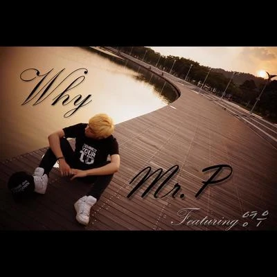 Why 专辑 Mr. P