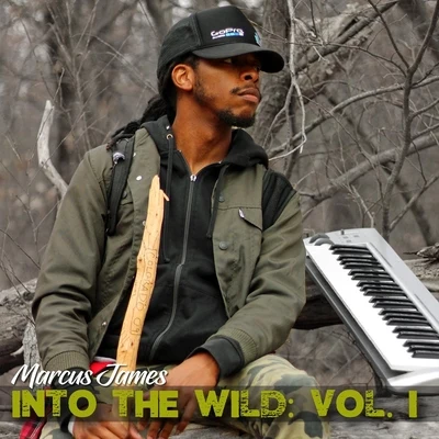 Sounds of Solitude: Into the Wild, Vol. 1 专辑 Marcus James