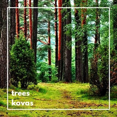 Trees 專輯 Kovas/Clp