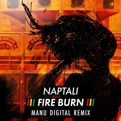 Naptali Fire Burn (Manudigital Remix)