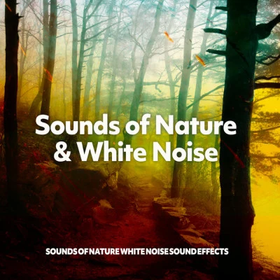 Sounds of Nature White Noise Sound EffectsBest Relaxing SPA MusicNatural Sounds Sounds of Nature & White Noise