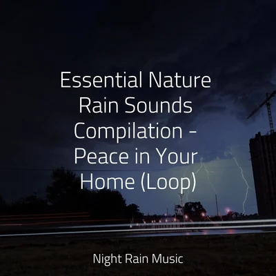 Essential Nature Rain Sounds Compilation - Peace in Your Home (Loop) 專輯 Bedtime Baby