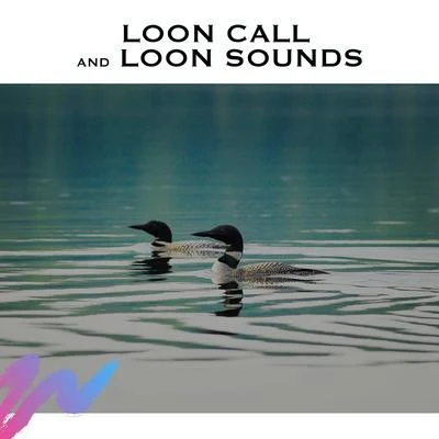 Loon Call and Loon Sounds 專輯 Nature Sounds/Nature Sounds for Sleep and Relaxation/Rest & Relax Nature Sounds Artists