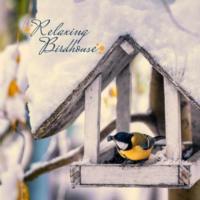 Rest & Relax Nature Sounds Artists Relaxing Birdhouse: Relax & Rest, Bird Songs, Nature Melodies, Calm Down