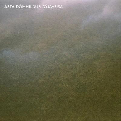 Dómhildur dýjaveisa 专辑 D-Compost/Daniele Petronelli/ASTA/Kadu Rosa/Nytron