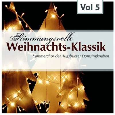 Stimmungsvolle weihnachts-klassik, vol. 5 專輯 Augsburger Domsingknaben