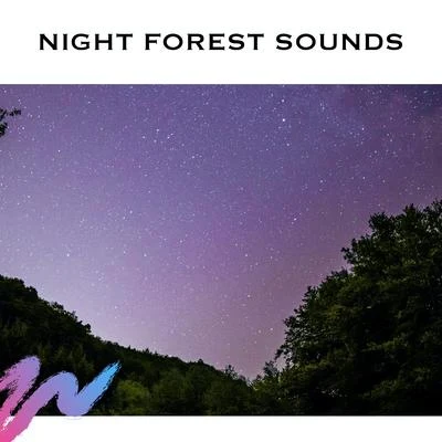 Night Forest Sounds 專輯 White Noise Radiance/White Noise Therapy