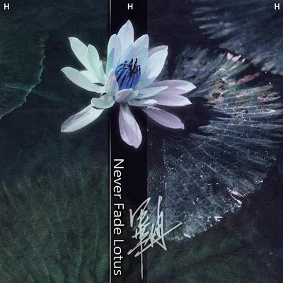 NEVER FADE LOTUS 專輯 合肥之子