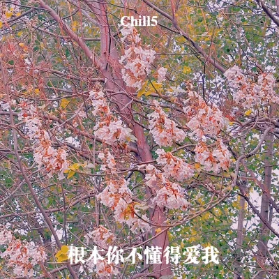 根本你不懂得愛我 專輯 Easy7/Chill5