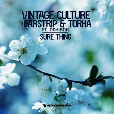 AshibahVintage CultureEarstrip & Torha Sure Thing