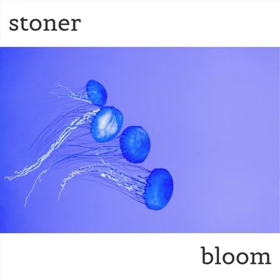 Bloom 專輯 Stoner/Snap Capone/Link Up TV