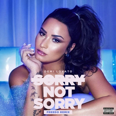 Sorry Not Sorry (Freedo Remix) 专辑 Demi Lovato