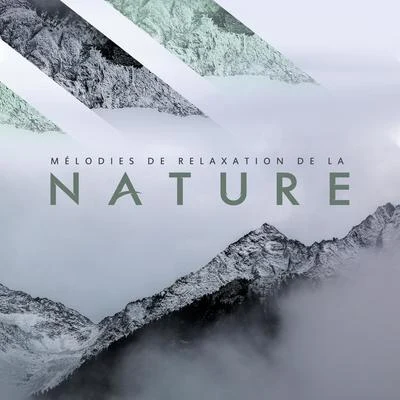 Mélodies de Relaxation de la Nature: White Noise 2020 專輯 White Noise Therapy/Brain Study Music Guys/Deep Rain Sampling