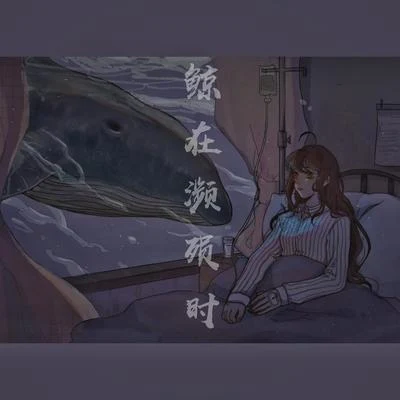 鯨在瀕殞時 專輯 少年霜/晃兒/王師傅王黃豆/鳳求凰原創音樂/阿念Kies