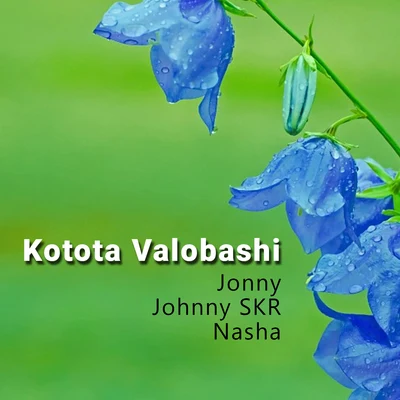 Kotota Valobashi 專輯 Nasha