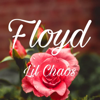 Floyd 專輯 Lil Chaos