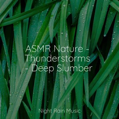 Tibetan Singing Bowls for RelaxationEchoes Of NatureWhite Noise Sound Garden ASMR Nature - Thunderstorms - Deep Slumber