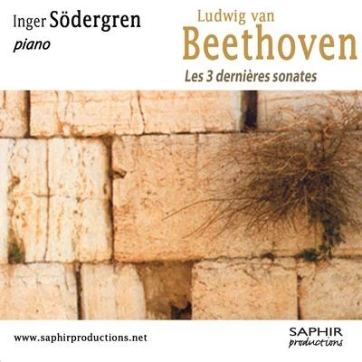 Les 3 dernières sonates 專輯 Inger Sodergren/貝多芬