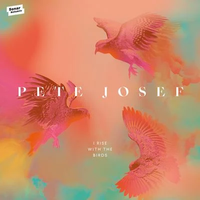 Pete JosefJody Wisternoff I Rise with the Birds