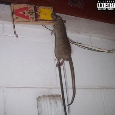 Rat On The Wall 專輯 Rocko