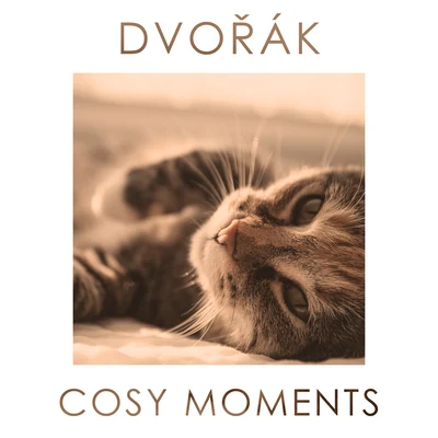 Dvorak Cosy Moments 專輯 Václav Hudecek/Petr Adamec/Antonín Dvořák