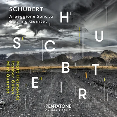 SCHUBERT, F.: Arpeggione Sonata (arr. for cello and piano)String Quintet, Op. 163 (Haimovitz, Golan,Miró Quartet) 专辑 Orchestre de Bretagne/Matt Haimovitz/Laure Favre-Kahn/Grzegorz Nowak