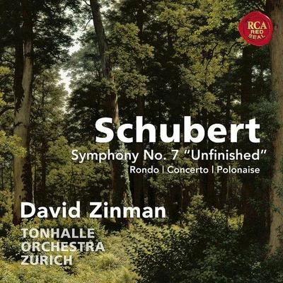 Schubert: Symphony No. 7 "Unfinished" & Rondo, Concerto & Polonaise for Violin and Orchestra 專輯 David Zinman