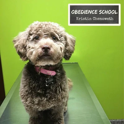 Kristin Chenoweth Obedience School