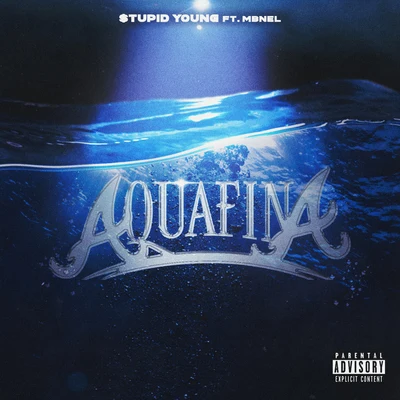 $tupid Young Aquafina (feat. MB Nel)