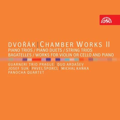 Dvořák: Chamber Works II 專輯 Pavel Nejtek