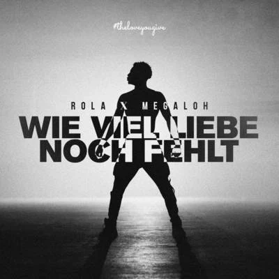 Wieviel Liebe noch fehlt 专辑 Megaloh/Musa/Chima Ede