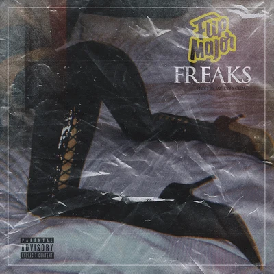 FREAKS 專輯 Flip Major