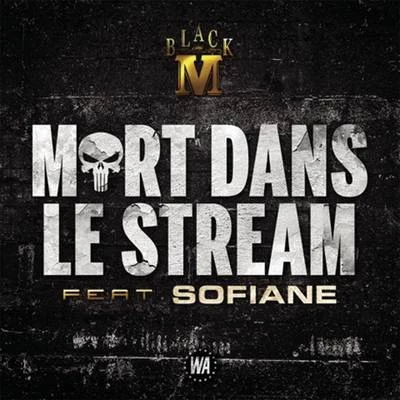 Sofiane Mort dans le stream