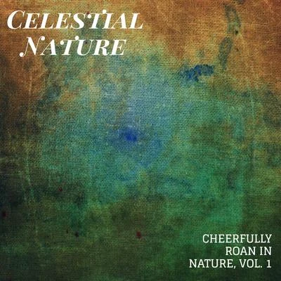 Celestial Nature - Cheerfully Roan in Nature, Vol. 1 專輯 Rain Sounds For Sleep