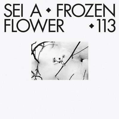 Frozen Flower 专辑 Milton Jackson/Sei A