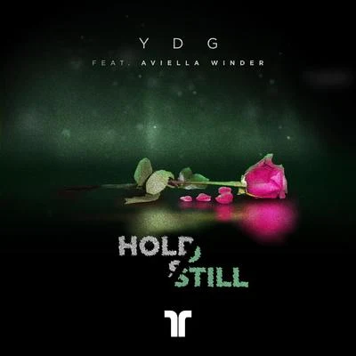 Hold Still 專輯 VRG/YDG