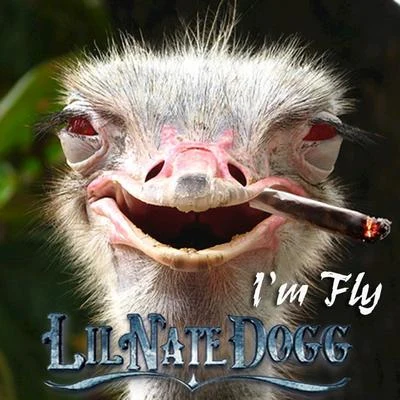 Im Fly 專輯 Lil Nate Dogg/Kurupt/Rillah