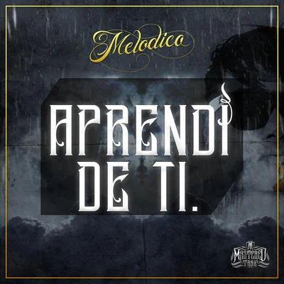 Aprendi de Ti 专辑 Melodico/Don Aero