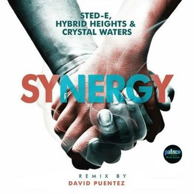 Synergy (David Puentez RMX) 專輯 Sted-E/Incognet/Santeli/Jodie Aysha/JONVS