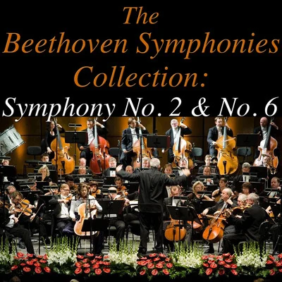 Sinfonia Varsovia The Beethoven Symphonies Collection: Symphonies No. 2 & No. 6